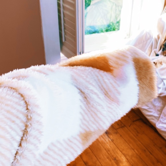 Cozy Champagne Fuzzy Plush Teddy Jacket ✨ - Picture 6 of 7